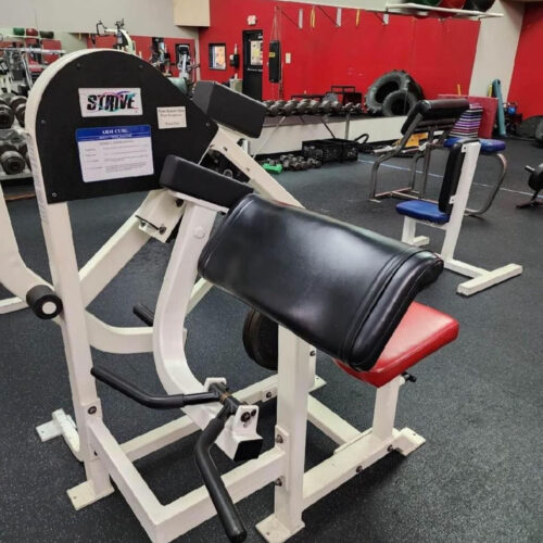 Strive Bicep Curl Plate Loaded