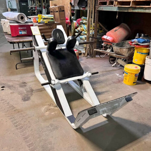 Icarian 35 degree hack squat