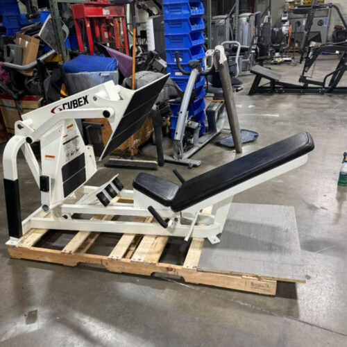 Cybex Plate Loaded Squat Press