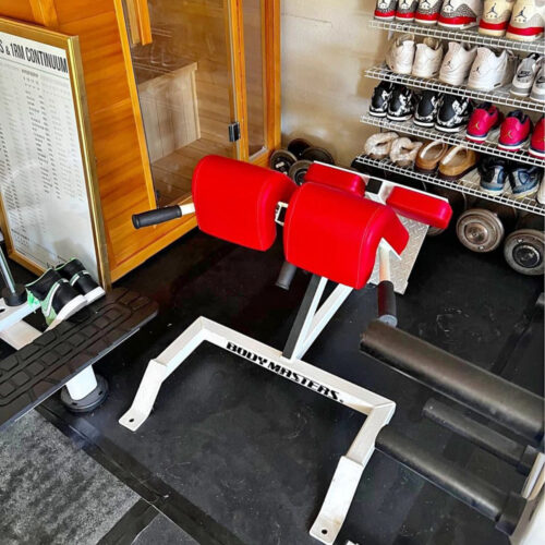 BodyMasters 45 back extension