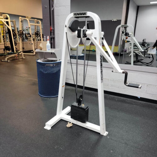 Icarian Standing Deltoid