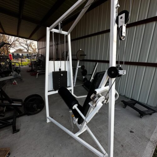 Cybex Classic Lateral Raise for Sale